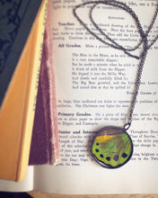 Load image into Gallery viewer, Green Birdwing Butterfly Wing Necklace