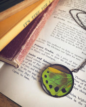 Load image into Gallery viewer, Green Birdwing Butterfly Wing Necklace