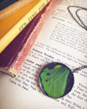 Load image into Gallery viewer, Green Birdwing Butterfly Wing Necklace