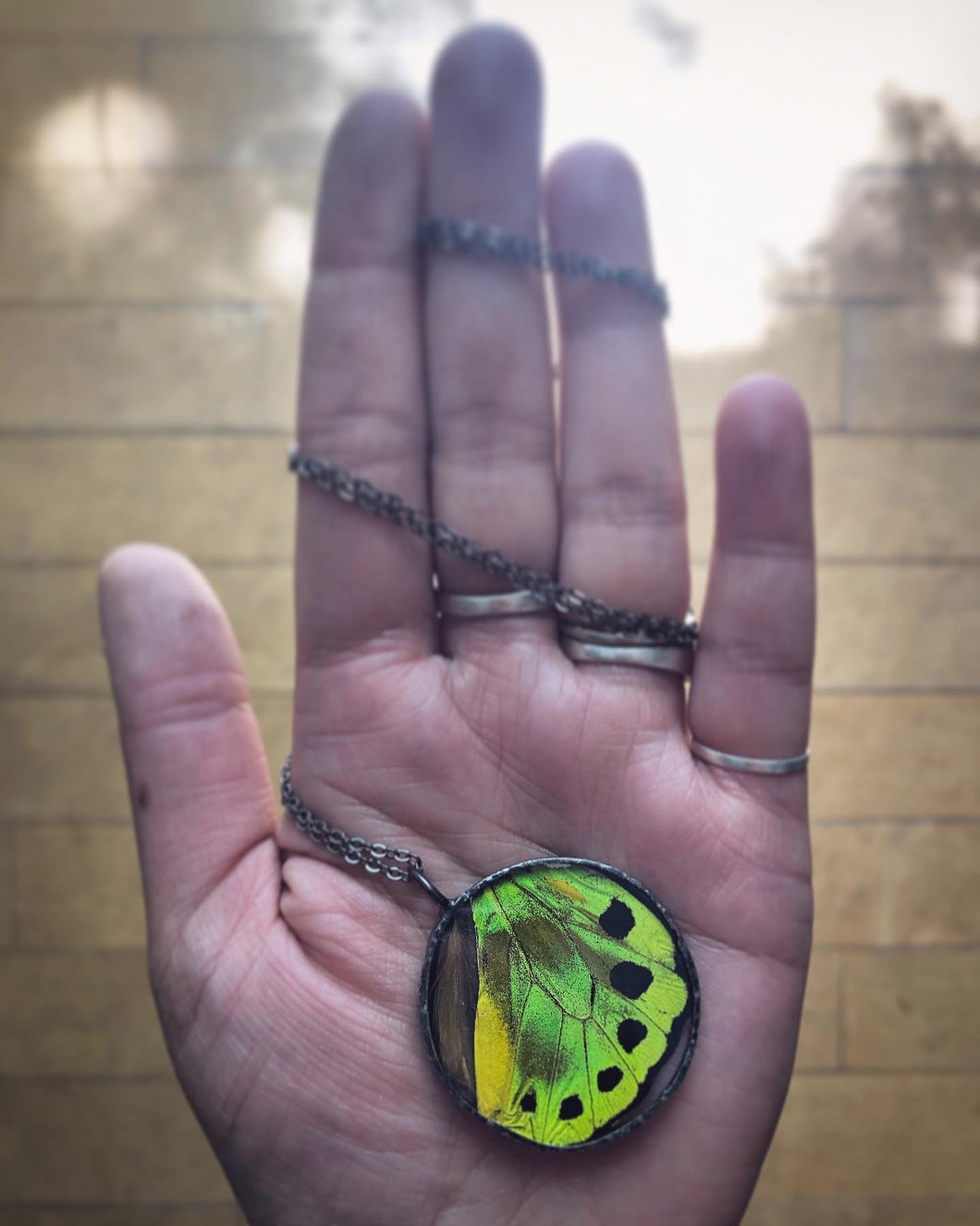 Green Birdwing Butterfly Wing Necklace
