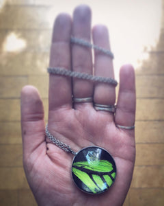 Green Birdwing Butterfly Necklace