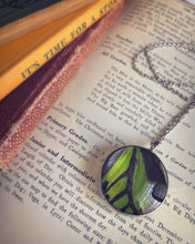 Load image into Gallery viewer, Green Birdwing Butterfly Necklace