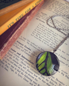 Green Birdwing Butterfly Necklace